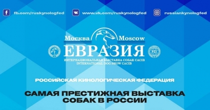 Special One Россия на Интернациональной выставке собак "ЕВРАЗИЯ-2018"